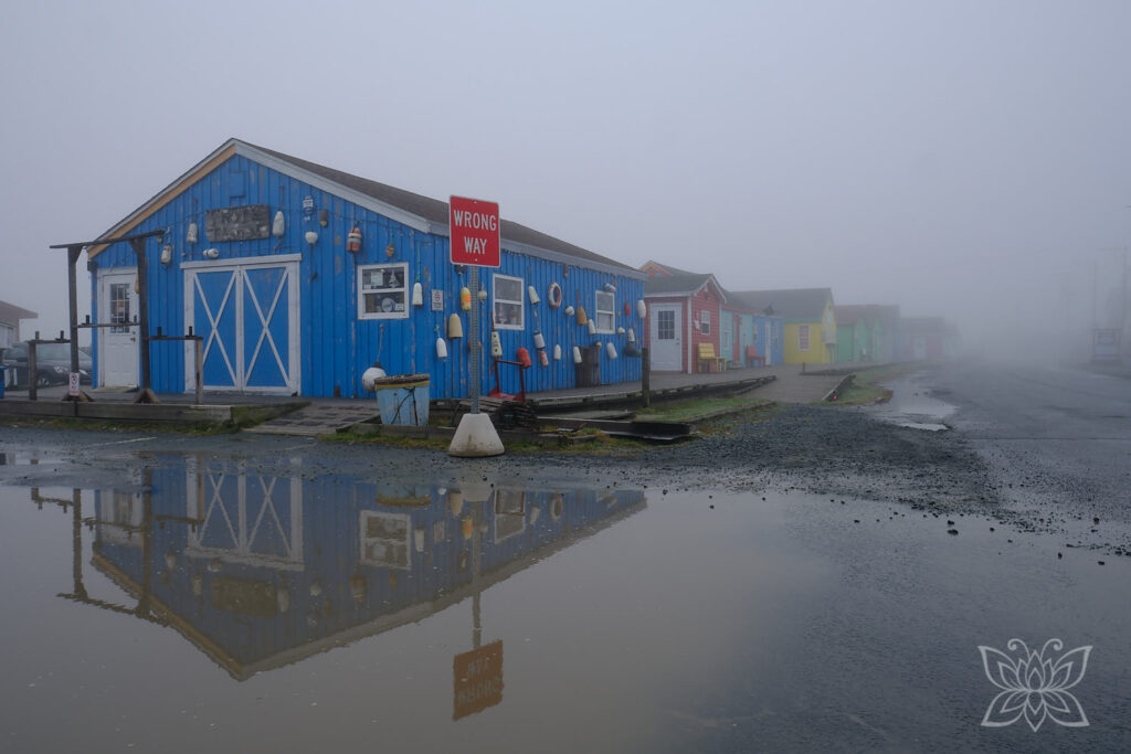 Bunte Hütten im Fischereihafen von Halifax