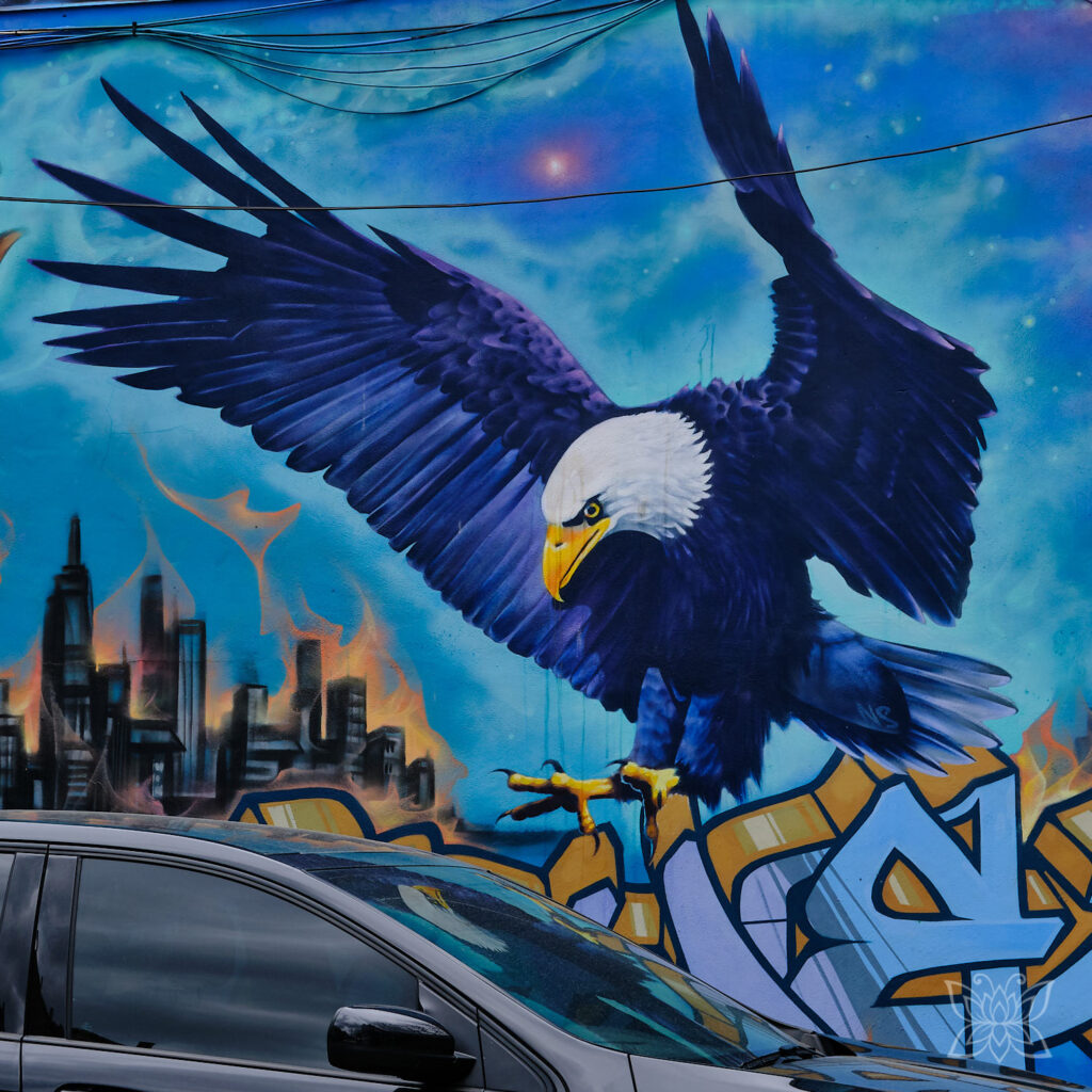 Weißkopfseeadler als Wandgemälde spiegelt sich in Autoscheibe.