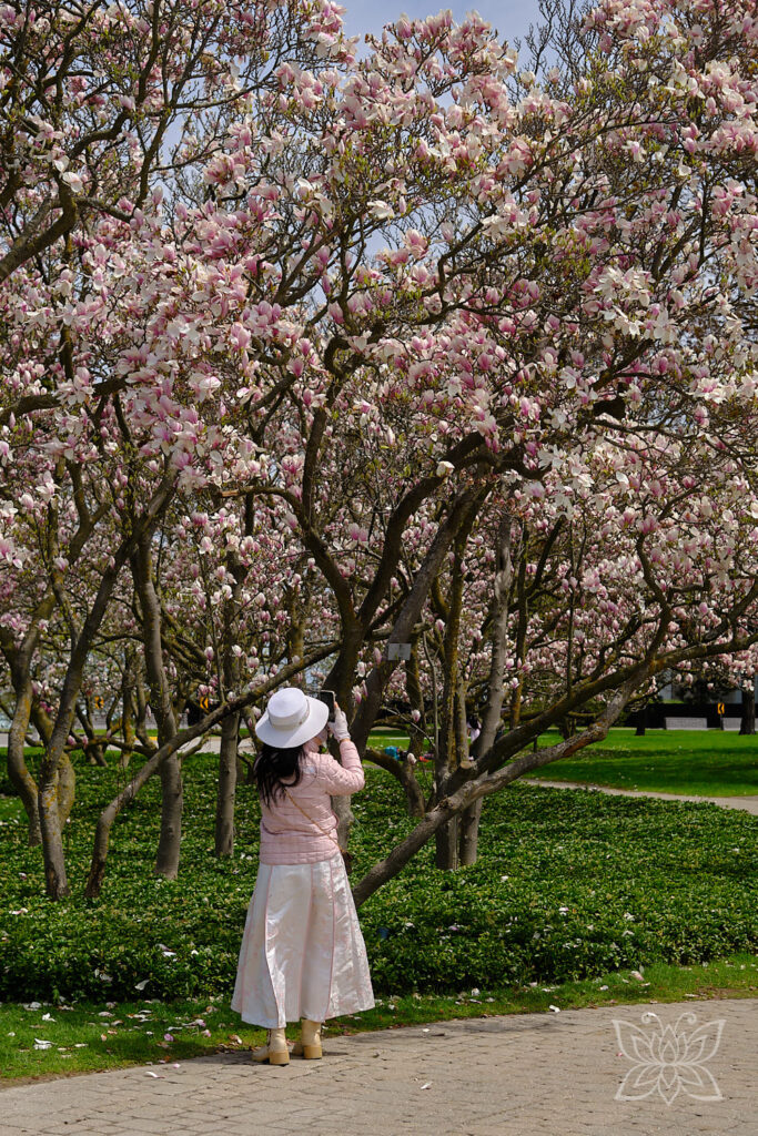 Frau fotografiert Magnolienbäume.