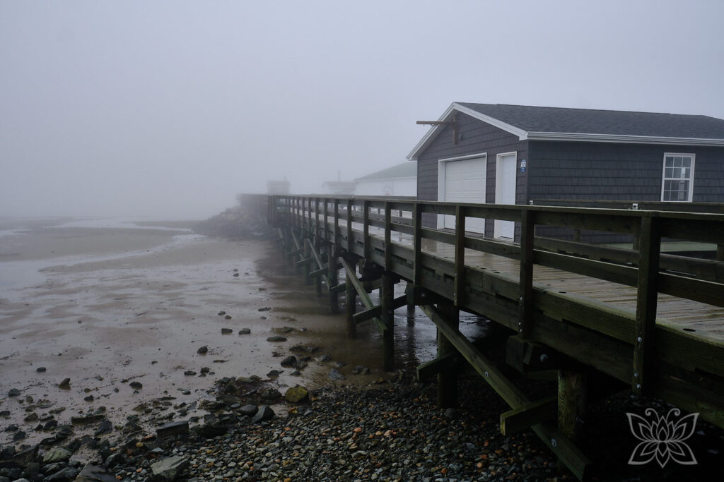 Steg im Nebel am Fischereihafen in Halifax