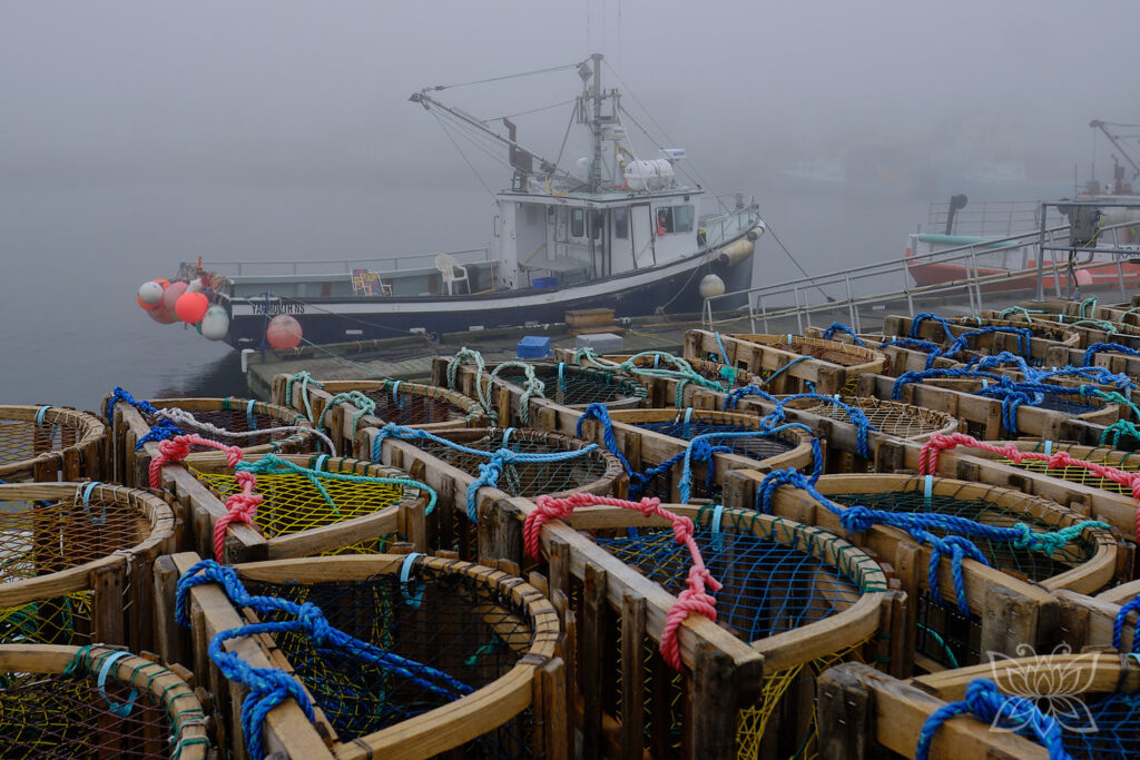 Fischereihafen in Halifax mit Lobsterfangkörben und Kutter