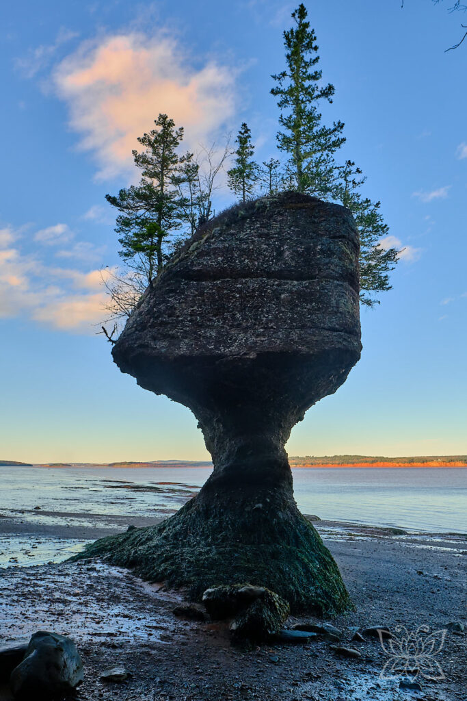 Hopewell Rocks - einzelne Felsnadel im Watt