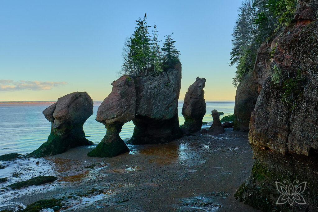 Hopewell Rocks von oben