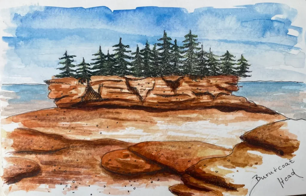 Aquarell von Inga Noetel - Burntcoat Head - Tannenbesetzte Ockerfelsen