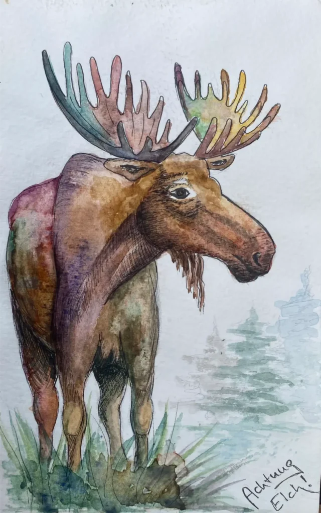 Aquarell von Inga Noetel - Elchmotiv