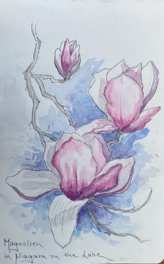 Aquarell von Inga Noetel - Magnolienblüten an einem Zweig