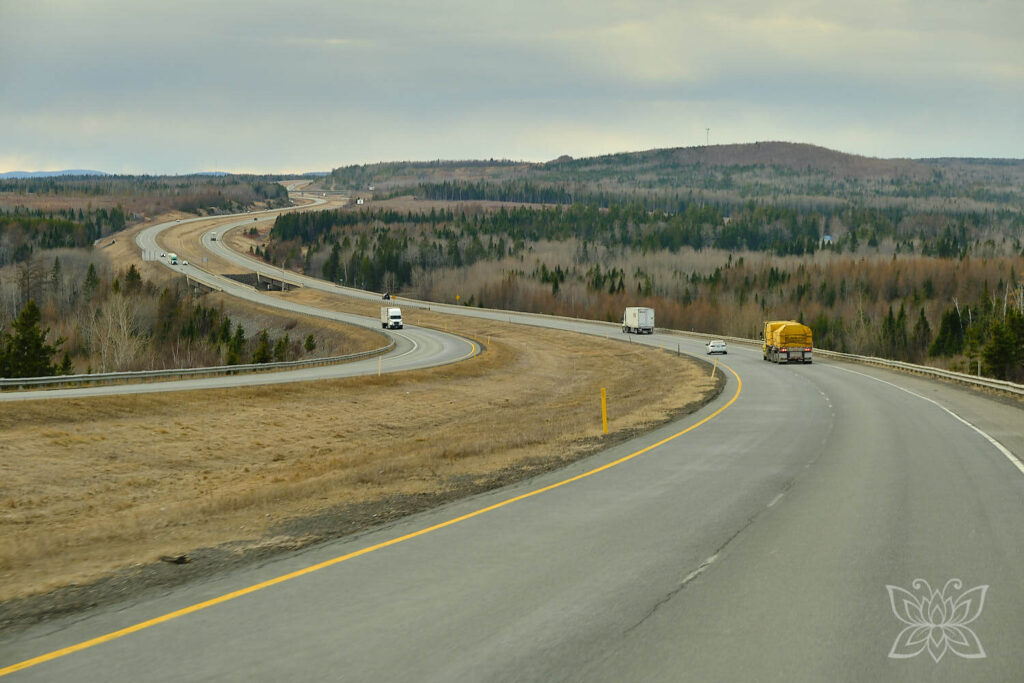 Der hier wenig befahrene Trans Canada Highway schlängelt sich durch die noch winterlich kahle Landschaft
