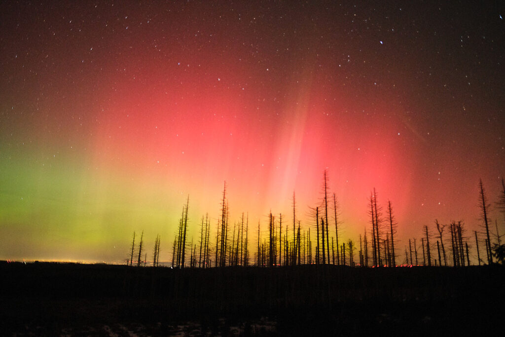 Polarlichter im Harz in grün und rot