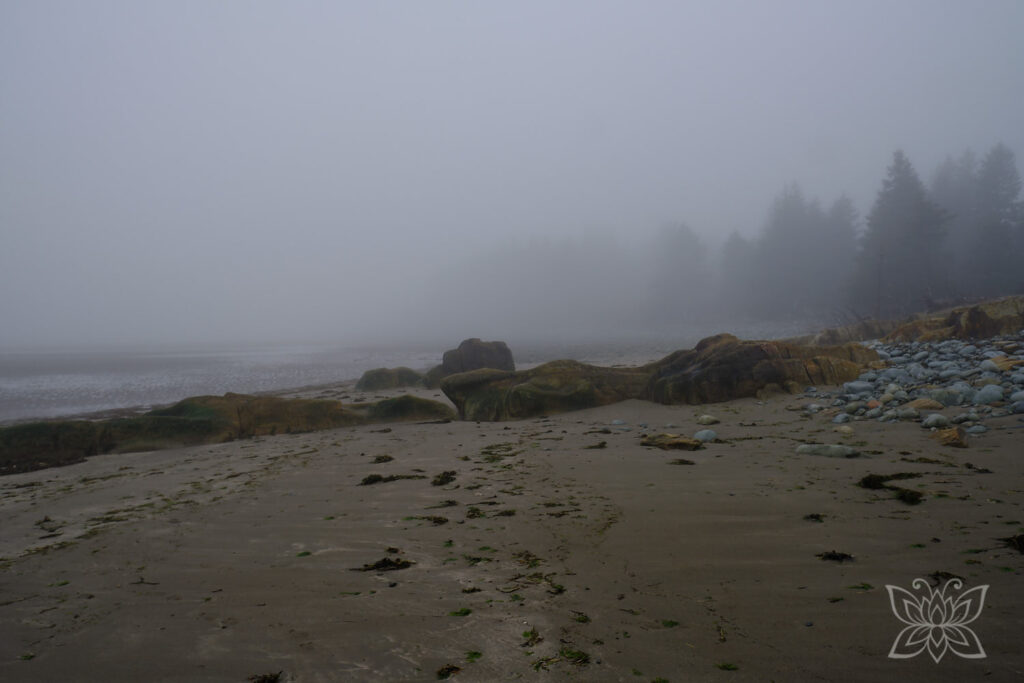 Strand im Nebel