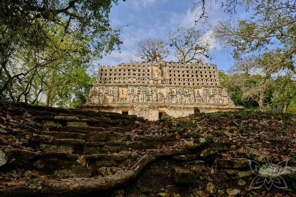 Pyramide von Yaxchilan, Mexico mit wurzelbewachsenen Treppen im Dschungel