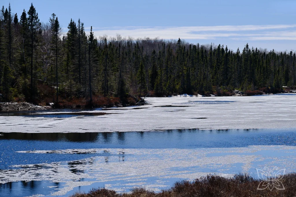Vereister See in Ontario