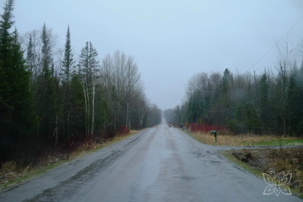 Straßen geradeaus durch den Wald