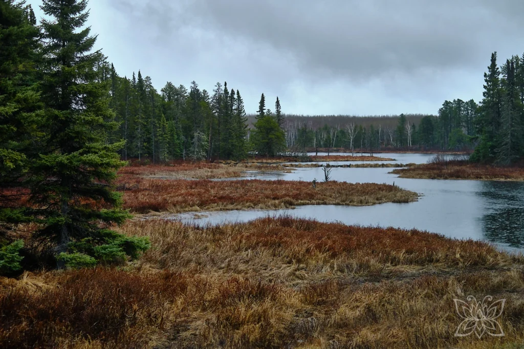 Moorlandschaft mit Fluss in Kanada