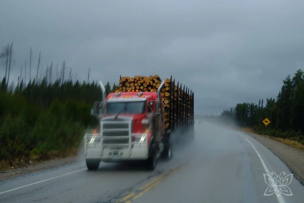 Holzlaster auf dem verregneten Highway