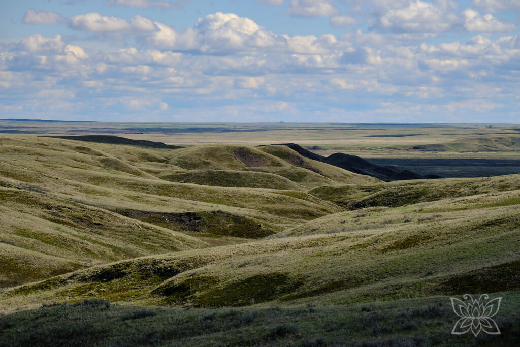 Grasslands National Park Kanada