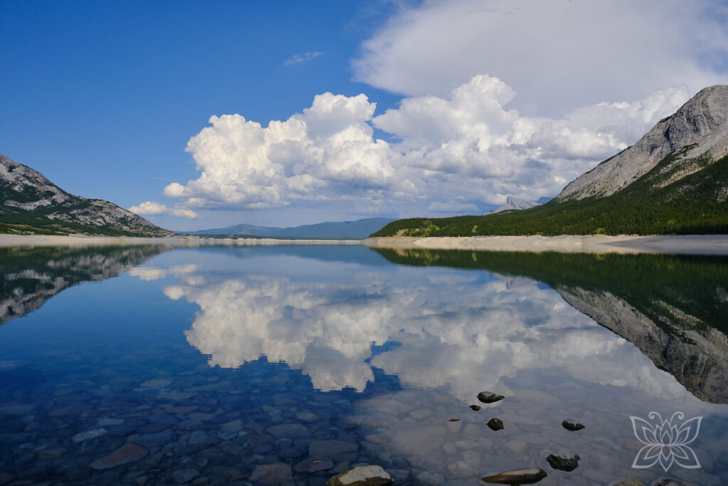 Reflektionen im Abraham Lake
