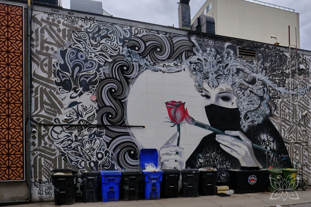 Bunte Murals in Torontos Altstadt