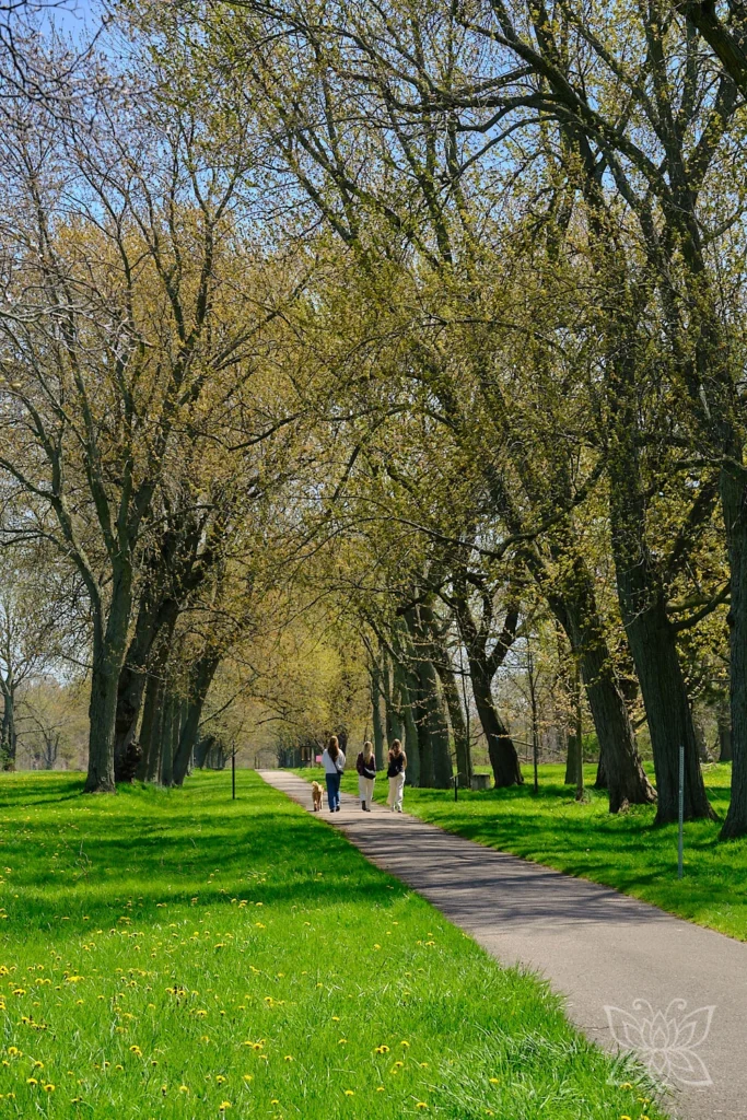 Parkallee mit frischem Grün