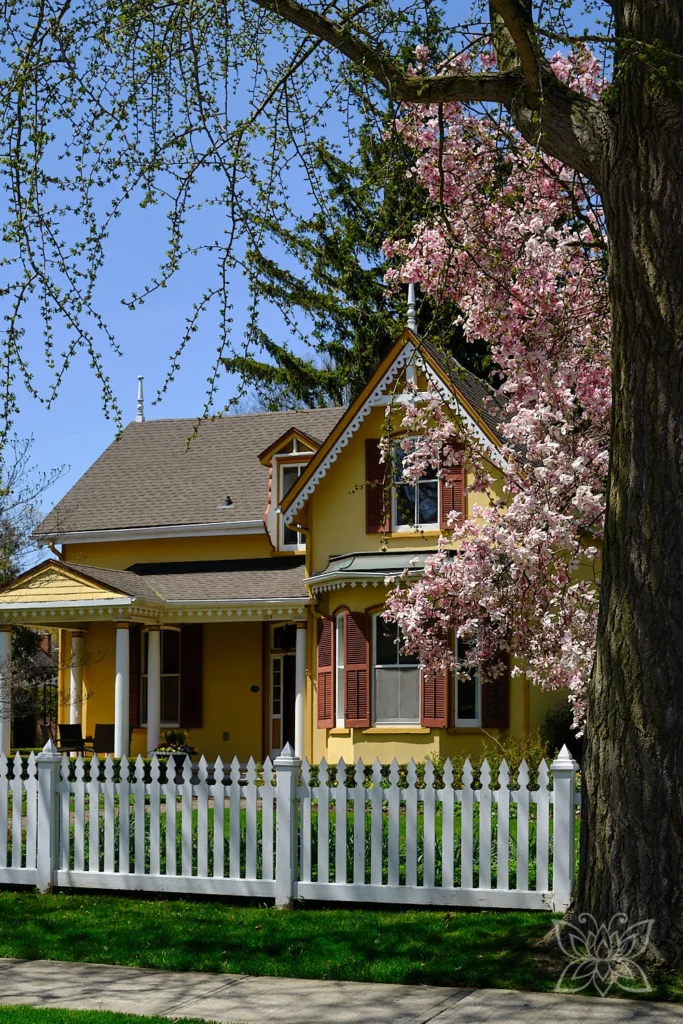Gelbes Haus mit Baum in Blüte davor