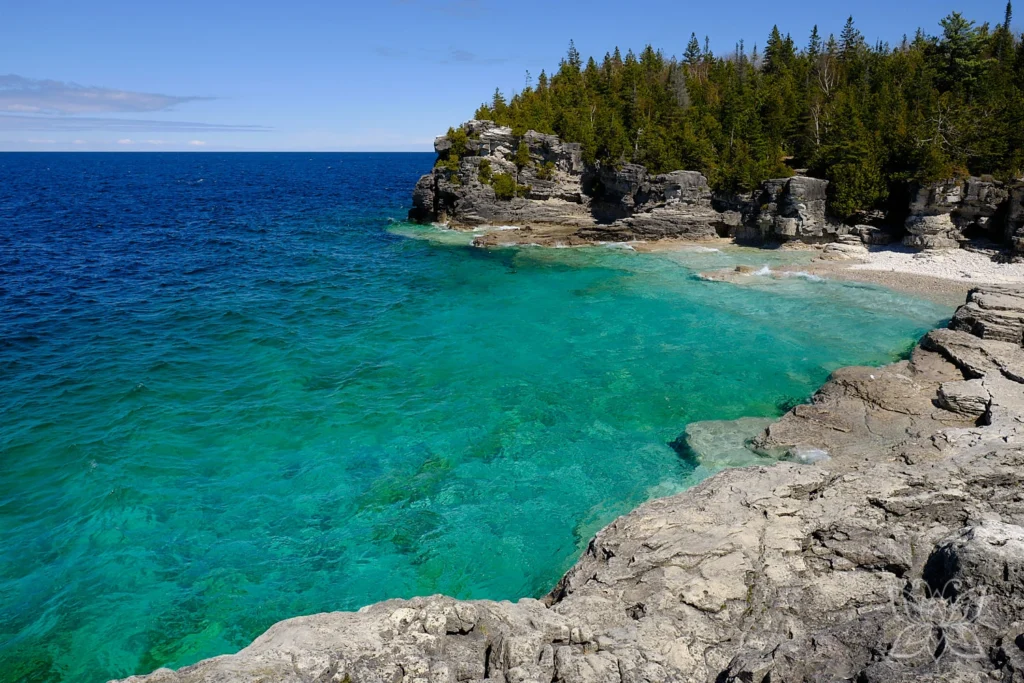 Türkise Bucht mit Felsen und Tannen im Bruce Peninsula Nationalpark Kanada