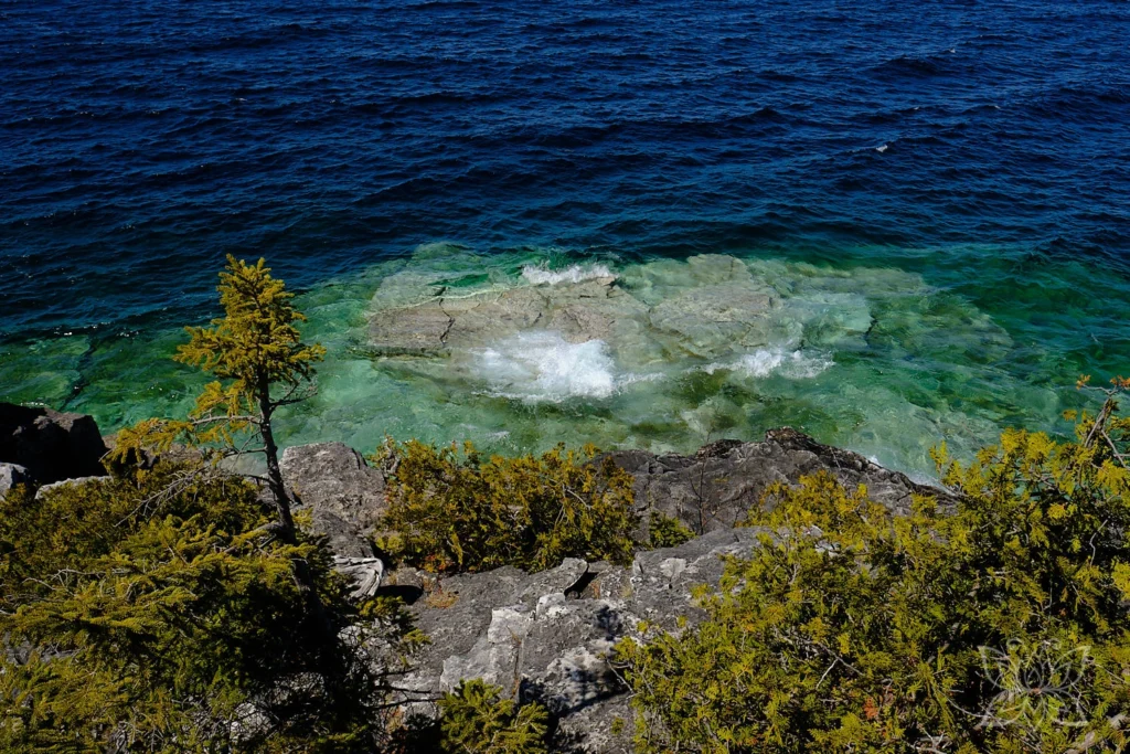Türkise Bucht mit Felsen und Tannen im Bruce Peninsula Nationalpark