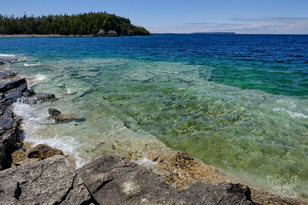 Türkise Bucht mit Felsen und Tannen im Bruce Peninsula Nationalpark Kanada