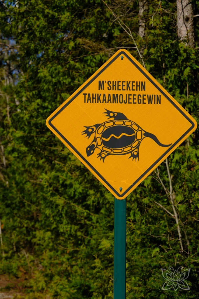 Schildkrötenschild mit indigener Schrift