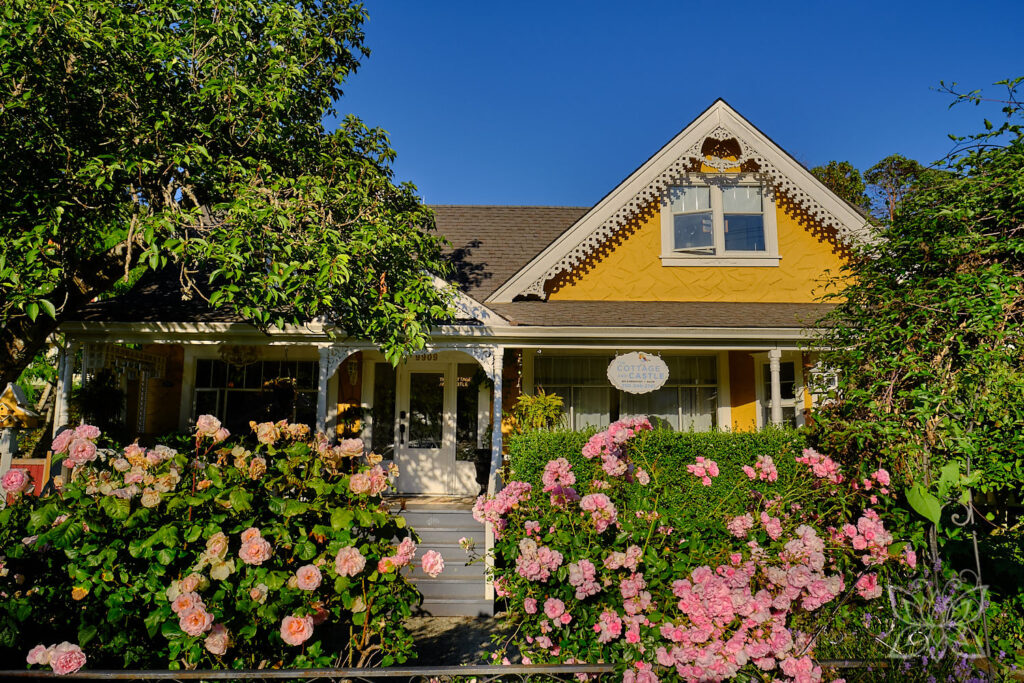 Gelbes Altes Hozhaus mit Rosen im Vorgarten