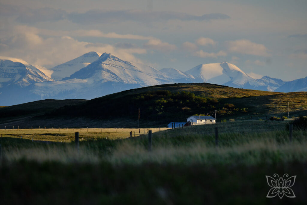Inga Noetel auf Weltreise - Verschneite Rocky Mountains in Kanadas Westen mit Farmhaus und hügeliger Graslandschaft im Vordergrund