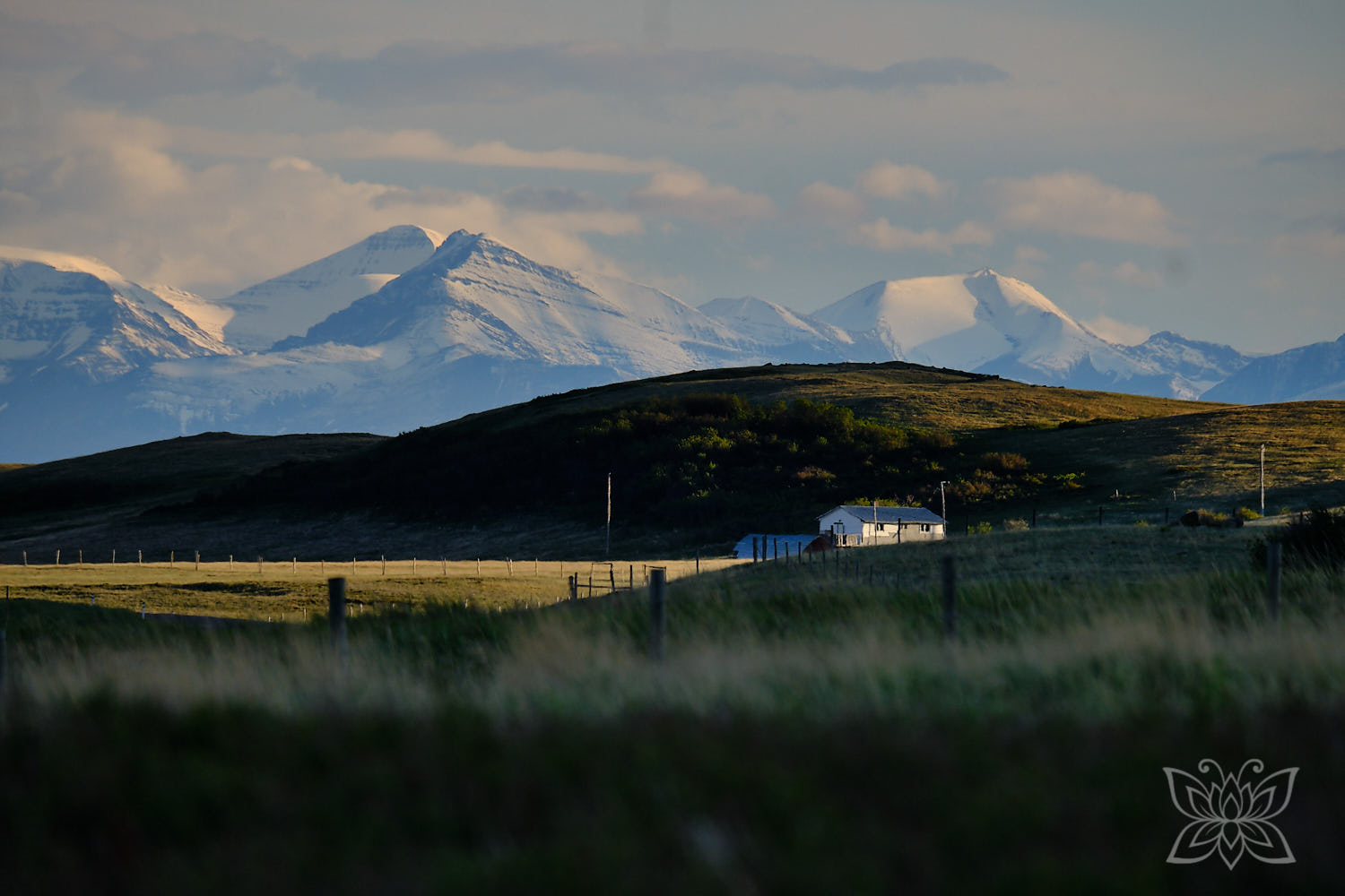 Inga Noetel auf Weltreise - Verschneite Rocky Mountains in Kanadas Westen mit Farmhaus und hügeliger Graslandschaft im Vordergrund