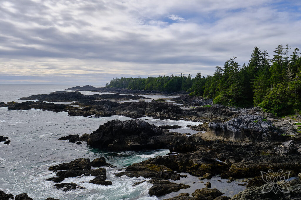 Bewaldete Küste vor Ucluelet an der rauen, felsigen Küste am Pazifik