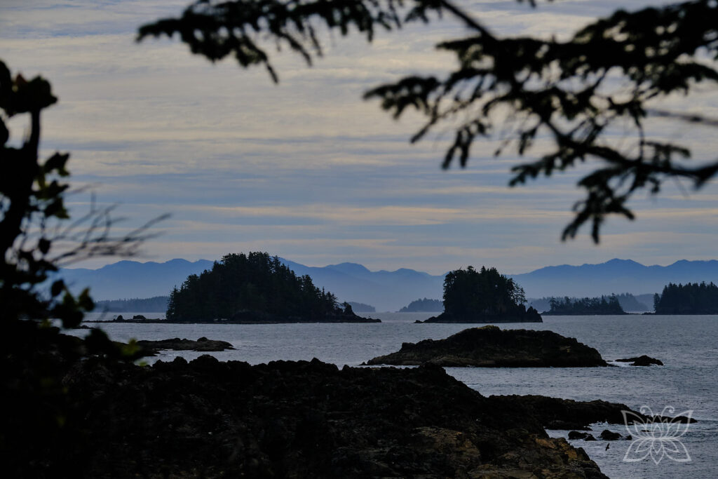 Küste vor Ucluelet mit kleinen Felseninseln im Gegenlicht davor.