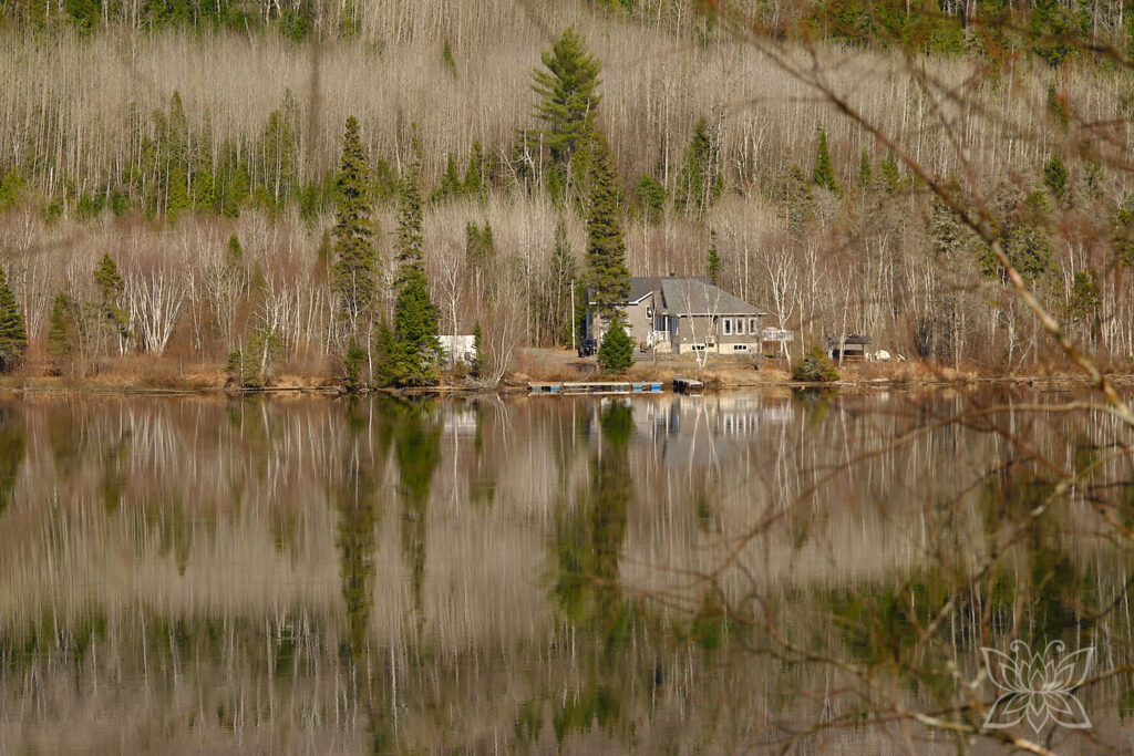 Reflektionen von Haus und Wald im See