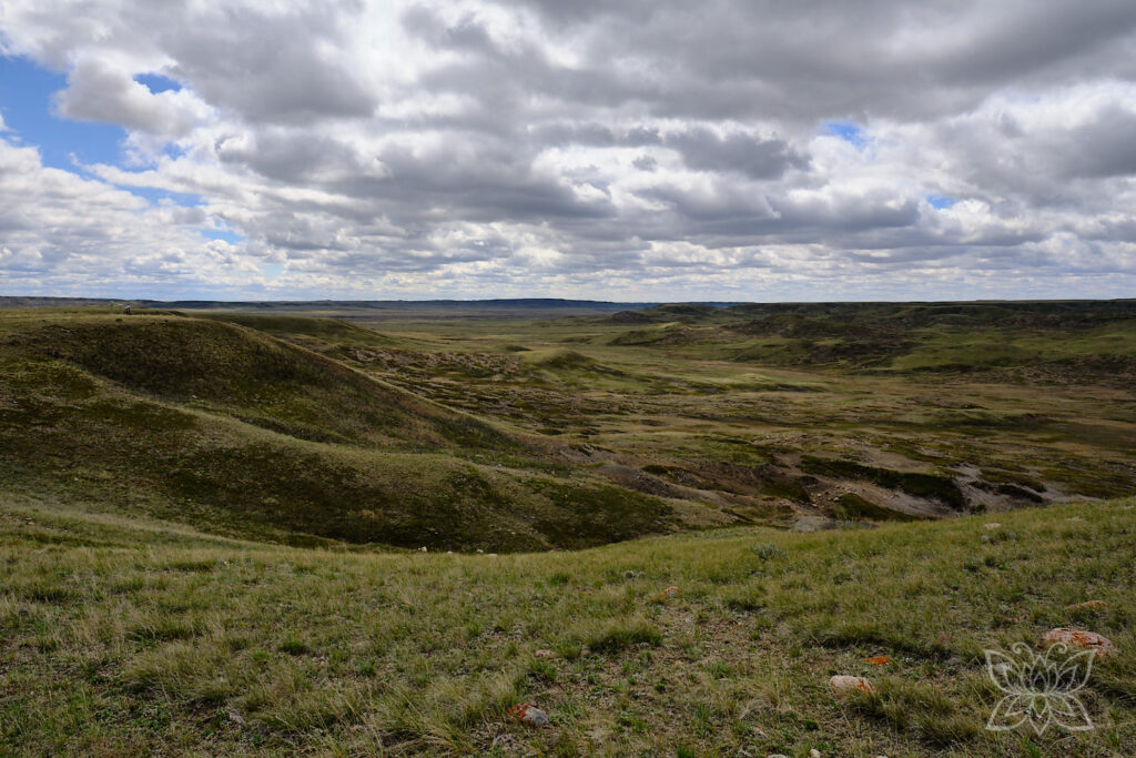 Weite SIcht im Grasslands National Park