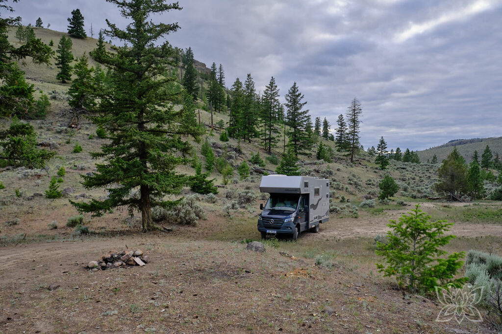 Freies Campen mit Balu in der hügeligen Steppe