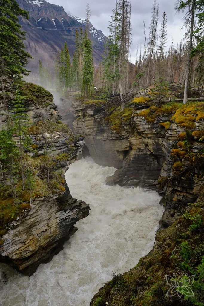 Wilder Fluss in einem Canyon
