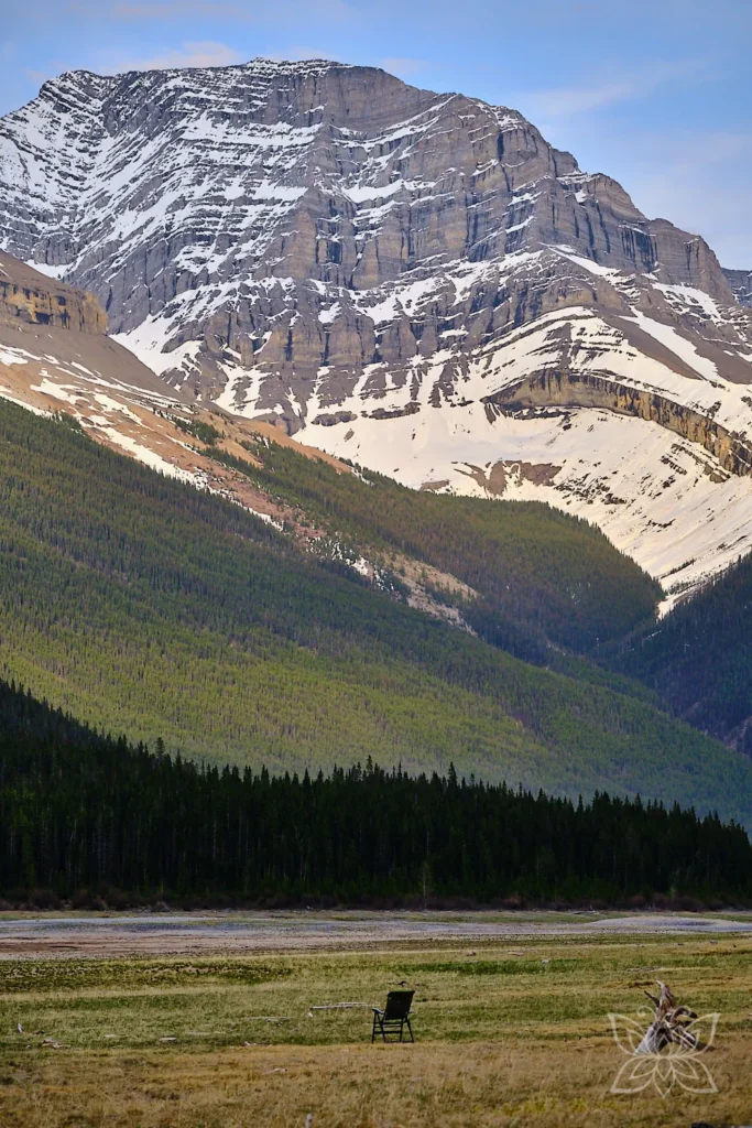 Coaching- und Energiemedizin-Session von Inga Noetel im Kananaskis-Tal