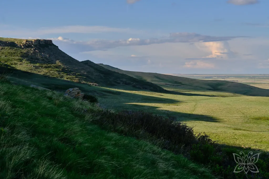 Klippe vom Head-Smashed-In Buffalo Jump
