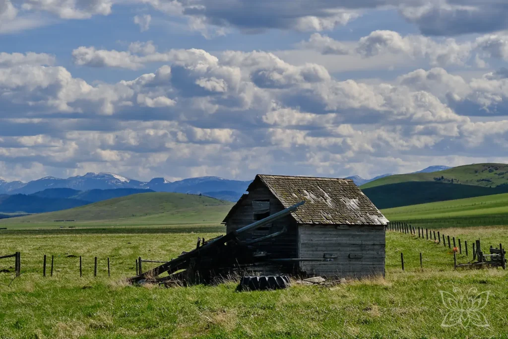 Alte Hütte in der Prärie vor den Rocky Montains
