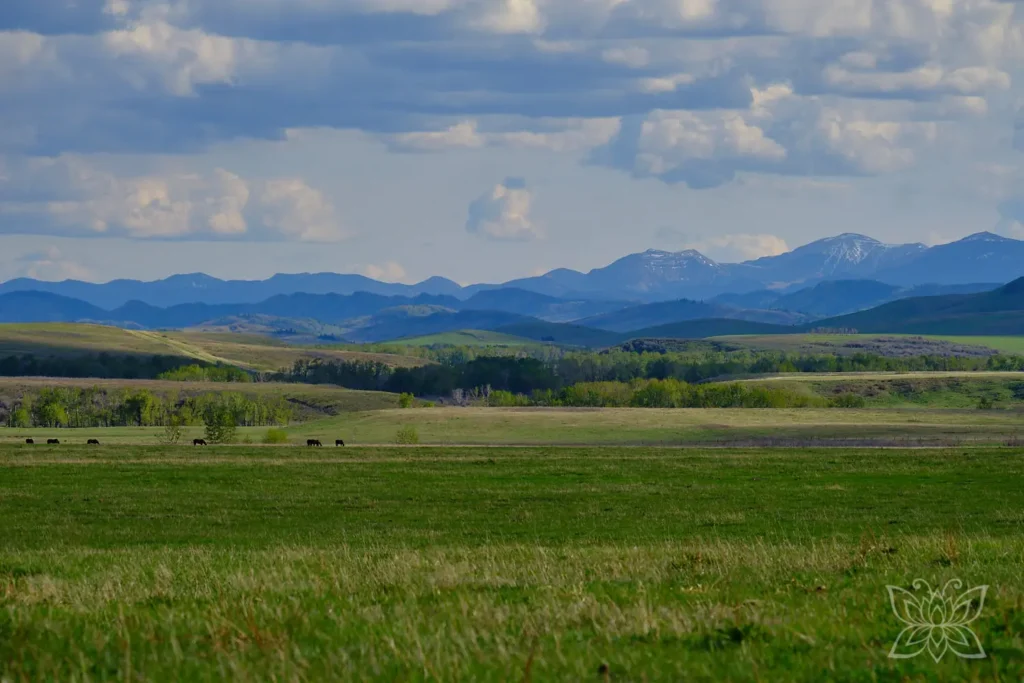 Prärie und Rocky Mountains im Westen Kanadas