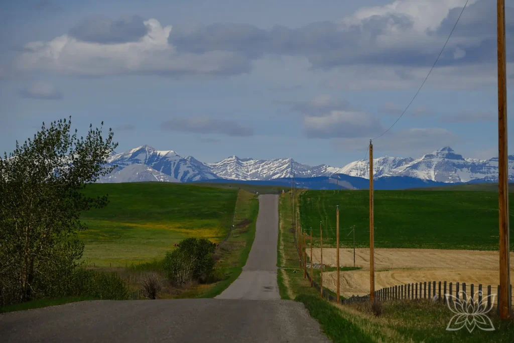 Schmale Straße in der Prärie mit den Rocky Mountains im Hintergrund