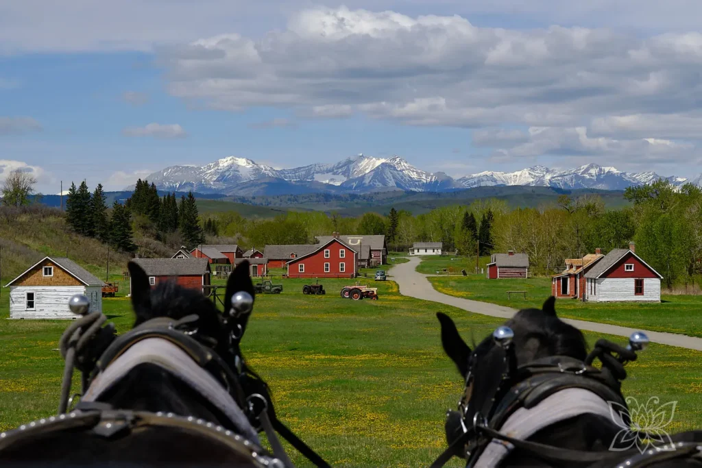 Fahrt mit der Kutsche auf der Bar U Ranch