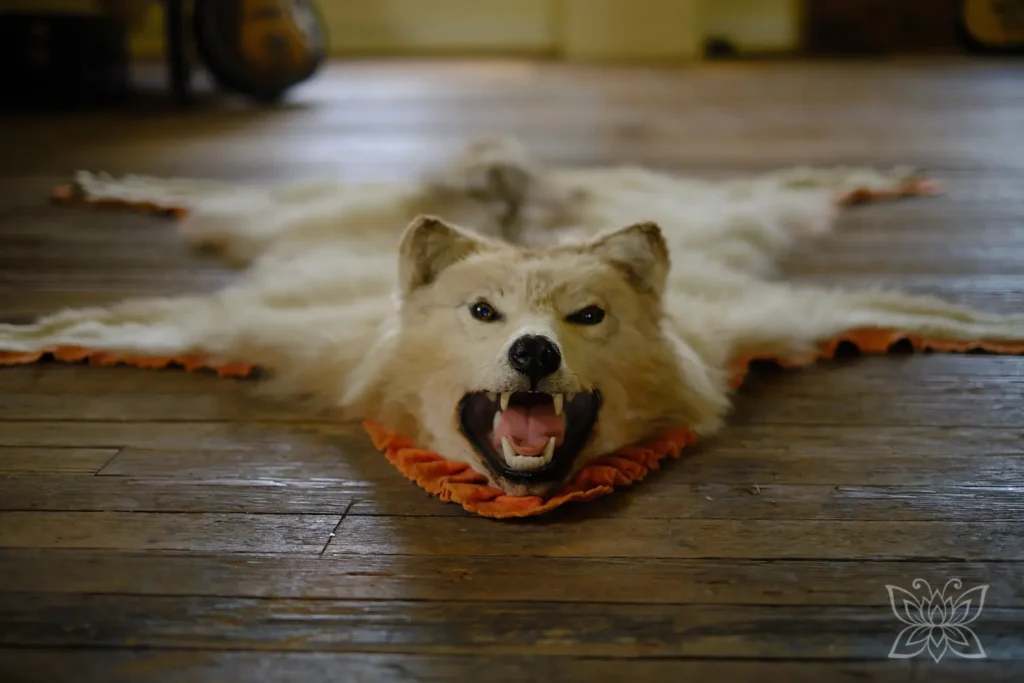 Coyotenfell