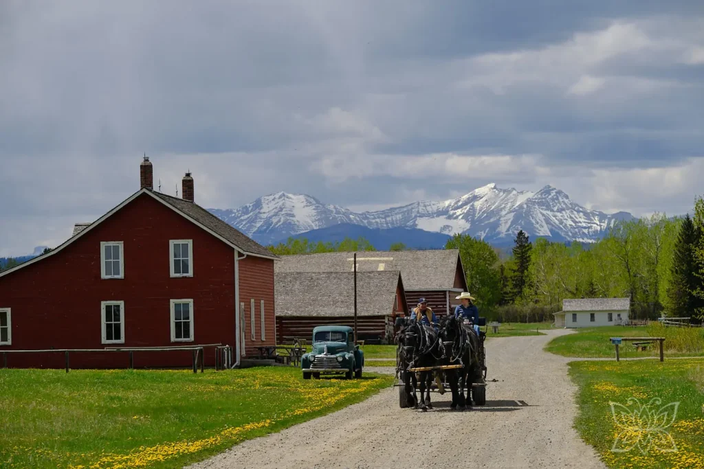 Pferdekutsche mit den roten Gebäuden der Bar U Ranch, die Rocky Mountains im Hintergrund