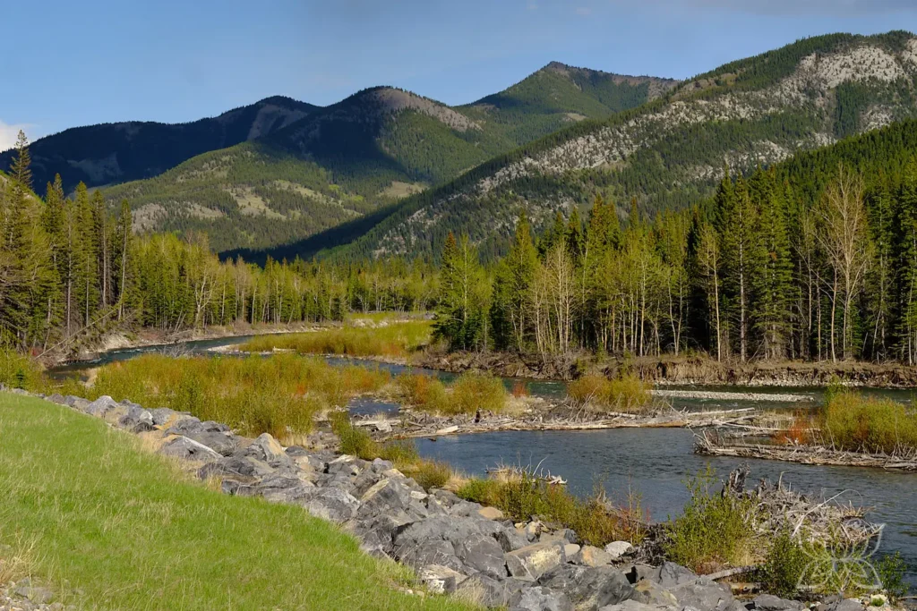 grüne Flusslandschaft in den Rocky Mountains