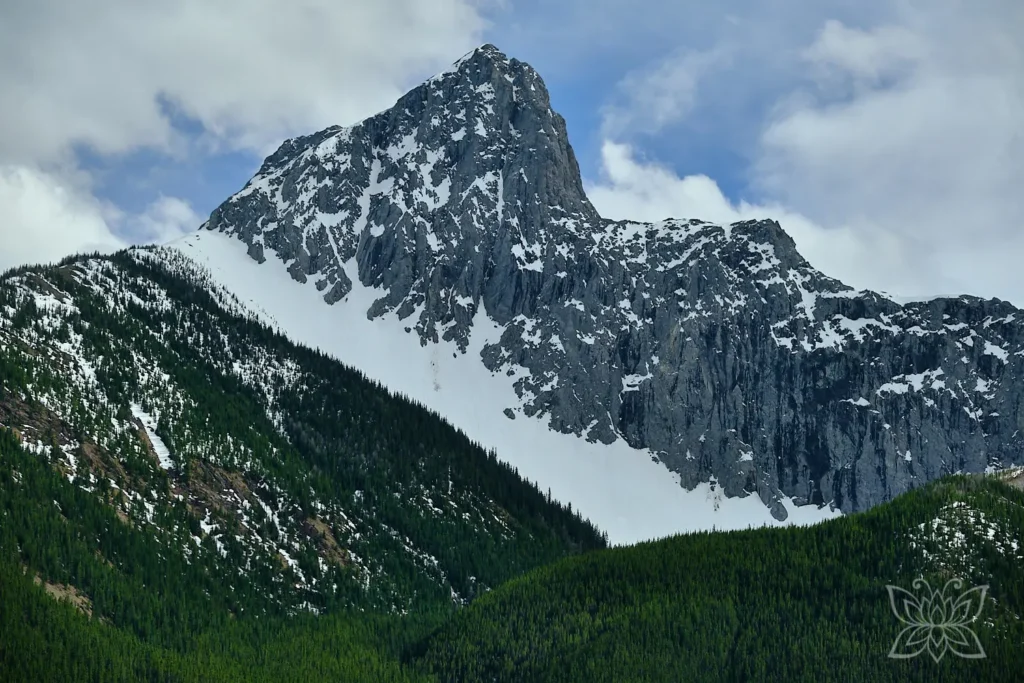 Schneebedeckte Rocky Mountains mit grünen Tannen am Fuße des Berges
