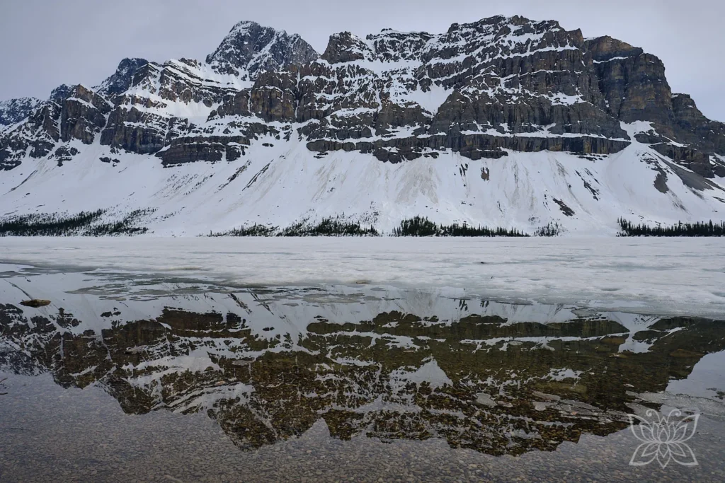 Reflektionen im Bow Lake, Banff Nationalpark
