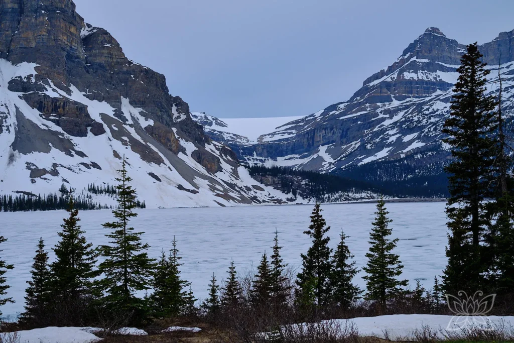 Vereister Bow Lake, Banff Nationalpark