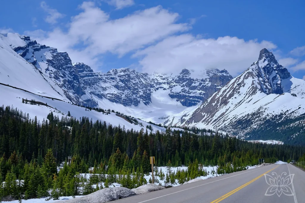 Straßenzug durch die verschneiten Rocky Mountains