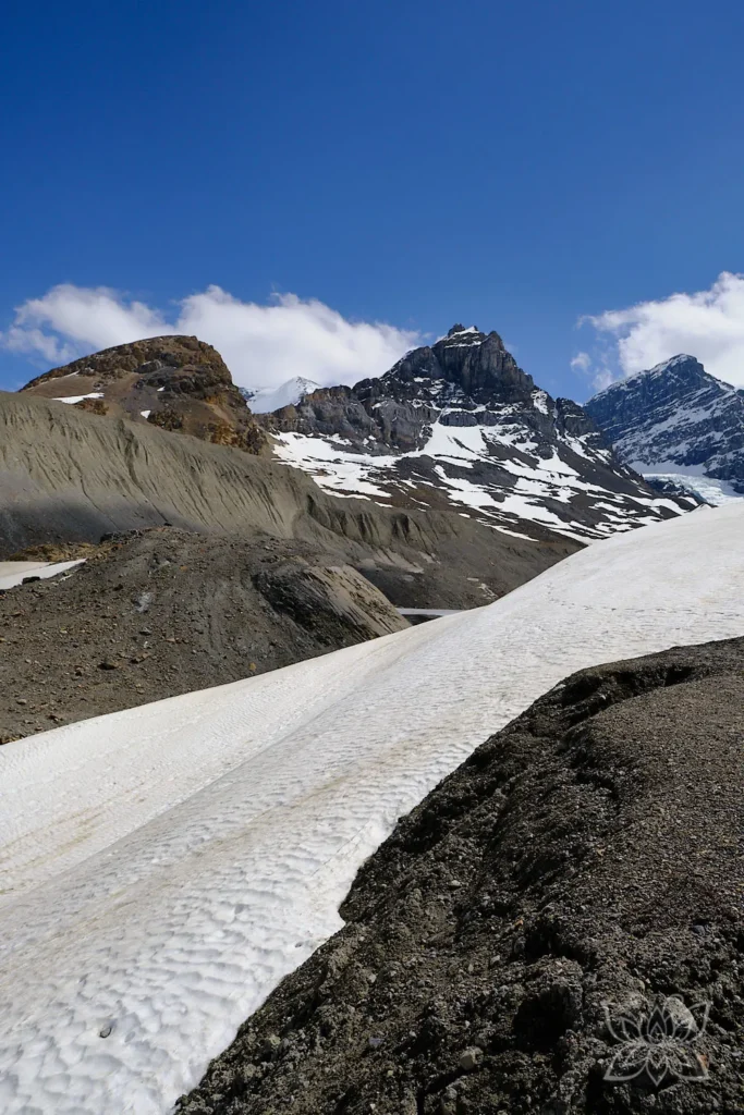 Athabasca Icefield im Jasper Nationalpark Kanada